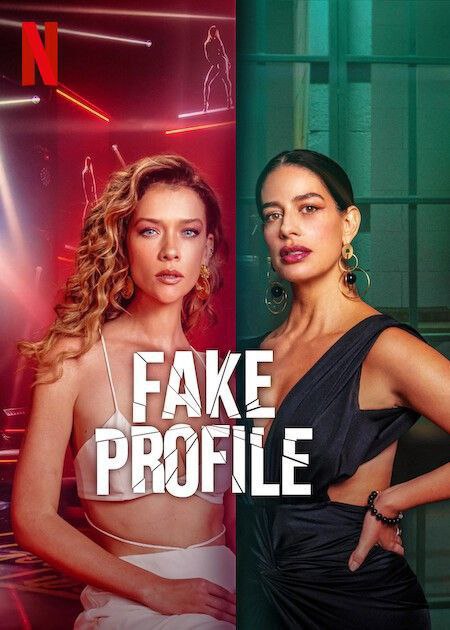 Fake Profile Season 2 (2025) Hindi Web Series